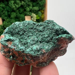 Malachite Crystal from Congo,Mineral,Crystals from Congo,Green Malachite, Malachite,Natural Malachite,Malachite Stone,Chakra, Specimen
