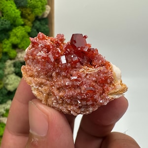 Roter Cr. Vanadinit auf Baryt aus Marokko,Vanadinit Kristall,Haufen,Haufen,Geologie,Haufen,Haufen,Cluster,rot Cr