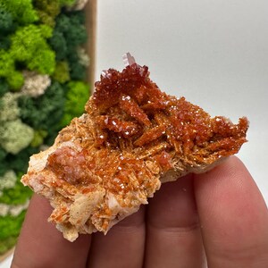 Roter Cr. Vanadinit auf Baryt aus Marokko,Vanadinit Kristall,Haufen,Haufen,Geologie,Haufen,Haufen,Cluster,rot Cr