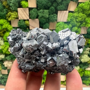 Beautiful Lustres Galena on Sphalerite,From Borieva mine,Madan,Bulgaria,Galena,Galena spinel,Galena cubes,Black Sphalerite,collection minera