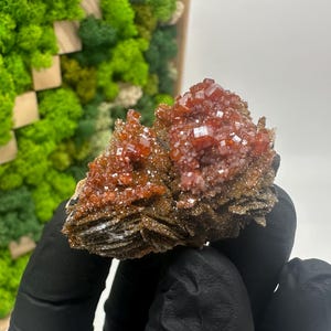 Roter Cr. Vanadinit auf Baryt aus Marokko,Vanadinit Kristall,Haufen,Haufen,Geologie,Haufen,Haufen,Cluster,rot Cr