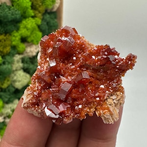 Roter Cr. Vanadinit auf Baryt aus Marokko,Vanadinit Kristall,Haufen,Haufen,Geologie,Haufen,Haufen,Cluster,rot Cr