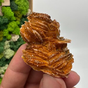 Roter Cr. Vanadinit auf Baryt aus Marokko,Vanadinit Kristall,Haufen,Haufen,Geologie,Haufen,Haufen,Cluster,rot Cr
