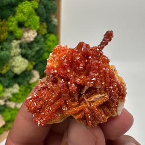 Roter Cr. Vanadinit auf Baryt aus Marokko,Vanadinit Kristall,Haufen,Haufen,Geologie,Haufen,Haufen,Cluster,rot Cr