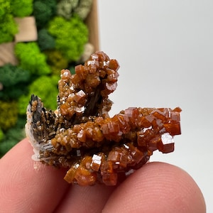 Red Vanadinite on Barite from Morocco,Crystal, Mineral,Specimen,Cluster,Vanadinite Crystal, Vanadinite ,Geology,Vanadinite Cluster,red Cr