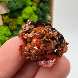 Red Vanadinite on Barite from Morocco,Crystal, Mineral,Specimen,Cluster,Vanadinite Crystal, Vanadinite ,Geology,Vanadinite Cluster,red Cr