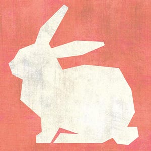 May include: A white geometric rabbit silhouette against a textured coral background. The rabbit is depicted in a minimalist, angular style, with a slightly distressed appearance. The artwork evokes a sense of simplicity and nature.
