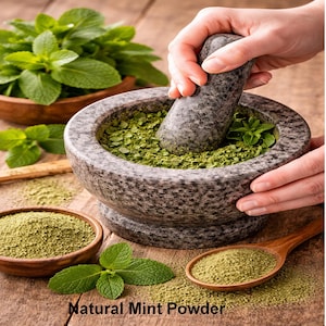 Indian Pudina Powder | Dried Mint Powder | Digestive Herbal Remedy & Cooking Spice