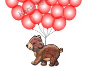 Il_170x135
