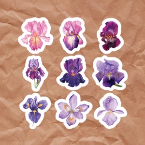 Iris Flower Stickers: Waterproof Vinyl Decals, Journal & Laptop Art - 9-Pack