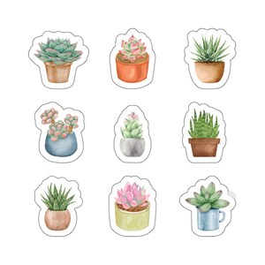 多肉植物ステッカー 9枚パック：光沢のあるビニール製植物用デカール