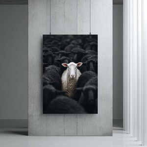 Könnte beinhalten: Gerahmter Kunstdruck mit einem weißen Schaf inmitten einer Herde schwarzer Schafe. Das Bild zeigt den Kontrast zwischen der weißen Wolle des zentralen Schafs und der dunklen Wolle der umliegenden Schafe. Das Kunstwerk hängt an einer Betonwand.