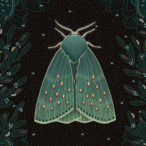 May include: A teal green moth with orange spots on its wings is surrounded by a dark green floral pattern on a black background.
