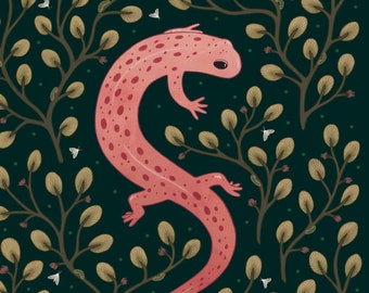 Red salamander giclee art print, amphibian art, cute salamander wall art, salamander decor