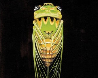 Green Cicada Giclée Art Print, Cicada Art, Insect Illustration 5x7