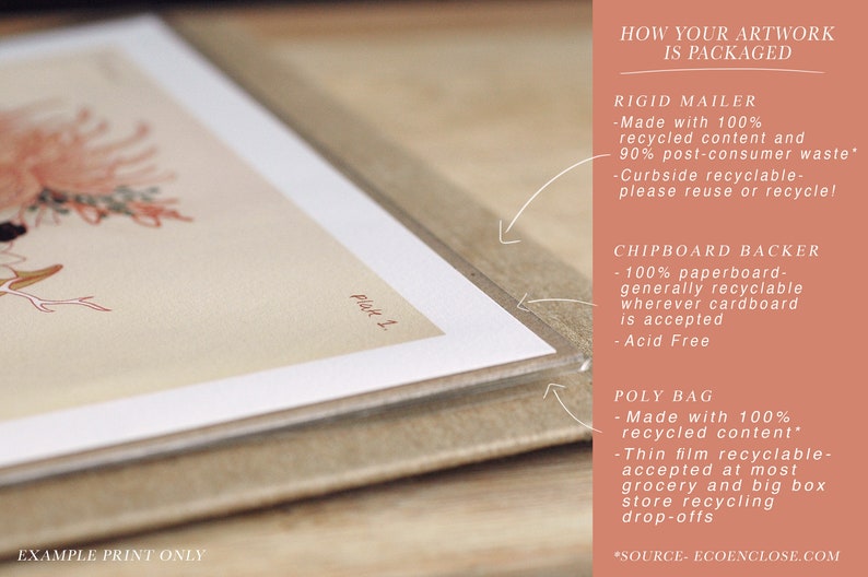 May include: A close-up of a print with a floral design, packaged in a rigid mailer, chipboard backer, and poly bag. The packaging is made from recycled materials and is recyclable. The text on the packaging reads "How your artwork is packaged", "Rigid mailer", "Chipboard backer", and "Poly bag".