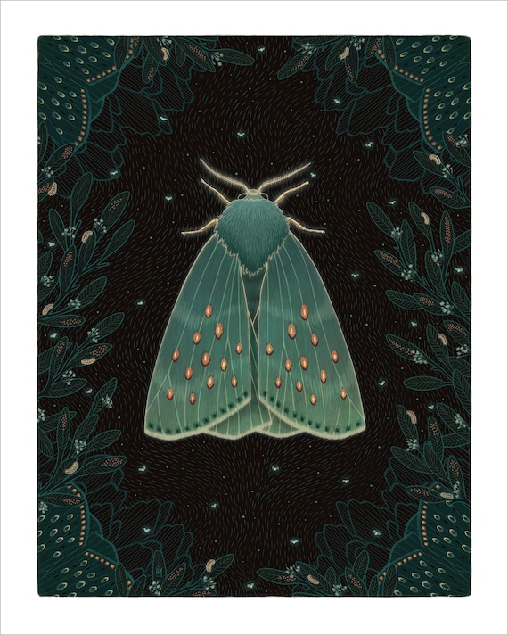 Green Celestial Moth Giclée Art Print, Moth Illustration