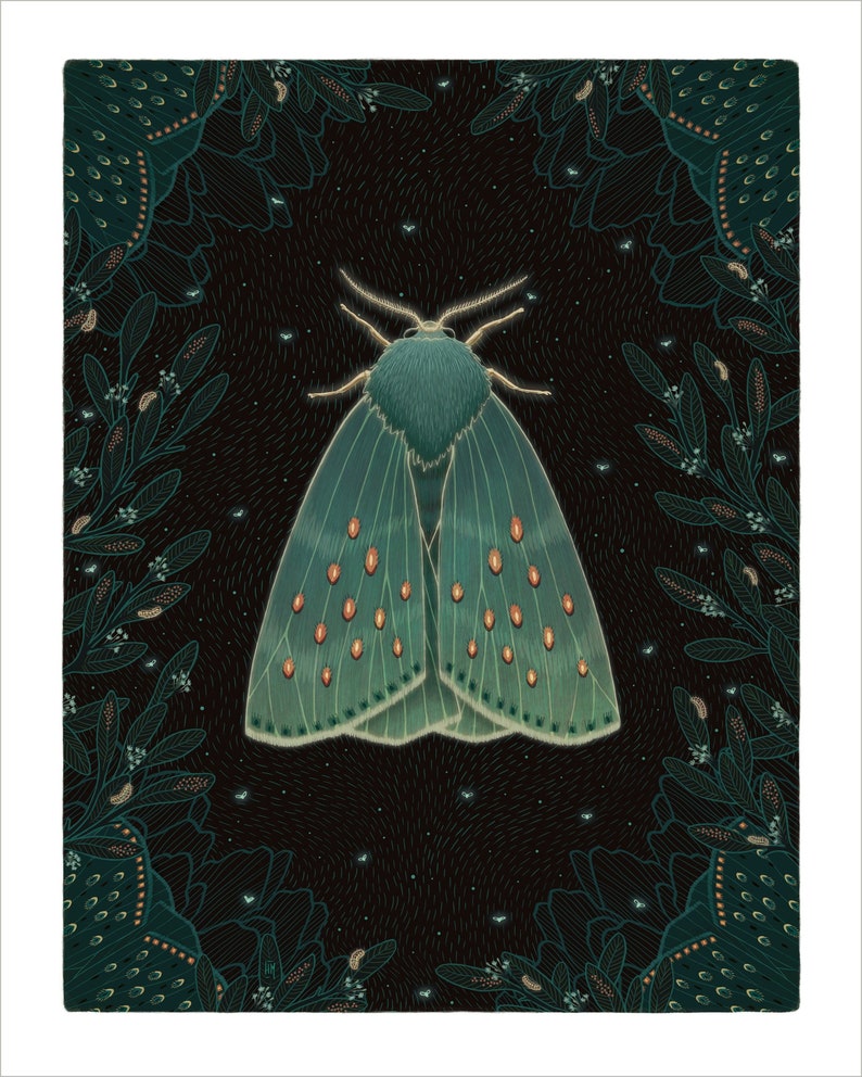 May include: A teal green moth with orange spots on its wings is surrounded by a dark green floral pattern on a black background.