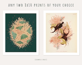 Set of two (2) 8x10 giclee art prints of your choice, art print bundle, animal art prints, insect wall decor