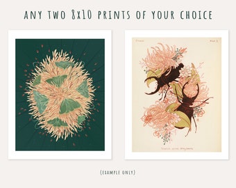 Set of two (2) 8x10 giclee art prints of your choice, art print bundle, animal art prints, insect wall decor