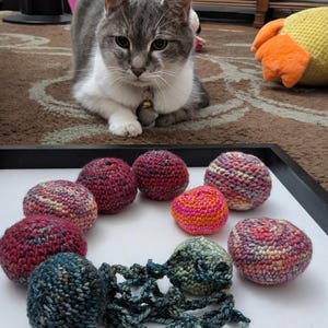Hand-Crocheted Cat Toy