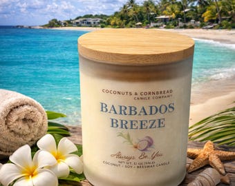 Vela perfumada Barbados Breeze / Inspirada en un hotel / 355 ml de cera de abejas de coco / Vidrio esmerilado / Tapa de bambú