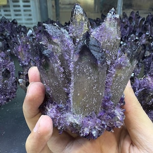 Puede incluir: Un grupo de cristales de amatista de color púrpura oscuro con una superficie texturizada y puntiaguda. Los cristales tienen un color profundo, casi negro en las puntas, que pasa a tonos más claros de púrpura y gris. El grupo se sostiene en una mano.