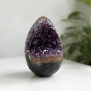 May include: An egg-shaped amethyst geode featuring a cluster of deep purple, crystalline points set within a smooth, dark, polished stone exterior. The crystalline cavity is bordered by a thin, light brown mineral layer, creating a distinct contrast.