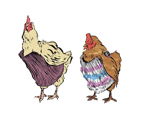 chickens wearing sweaters