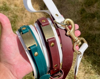 May include: A collection of dog collars and a leash in various colors, including white, teal, and burgundy. Each collar features a gold-colored nameplate and matching gold hardware. The leash is white with a gold-colored clasp.