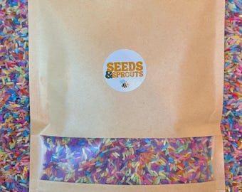 Sensorische vuller regenboogrijst | Montessori zintuiglijk spel voor peuters | Activiteit gekleurde rijst voor kinderen | Leerspeelgoed voor kleuters