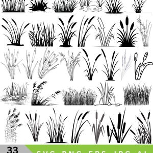 Puede incluir: Una colección de 33 diseños vectoriales que presentan siluetas de juncos y espigas. Los diseños son en blanco y negro, con diferentes estilos y arreglos de las plantas. La parte inferior de la imagen incluye el texto "33 DESIGNS" y "SVG-PNG-EPS-JPG-AI".