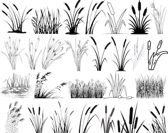 Grass Reed Clipart Bundle: Botanical Nature SVG PNG (Instant Download)