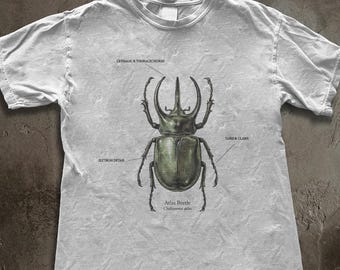 Green Stag Beetle Illustration T-Shirt | Entomology Art Tee