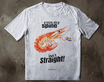 Gay Shrimp Pride Tee, Progress Pride Flag, Funny LGBTQ Meme, Queer Humor Top