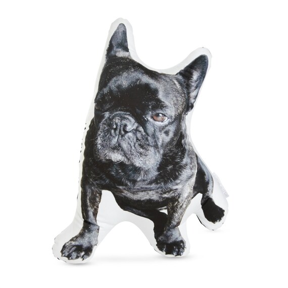 Bulldog Frances Negro
