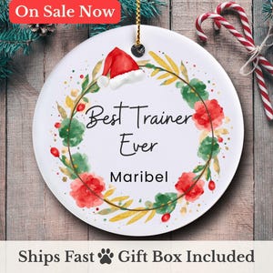 Best Dog Trainer Ornament 2026, Personalized Dog Trainer Gift, Custom Christmas Ornament for Dog Lovers and Training Professionals