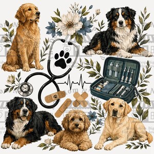 Puede incluir: Una ilustración digital que muestra un golden retriever, un boyero de Berna y un perro pequeño de pelo rizado. Incluye un estetoscopio negro, un kit médico con jeringas, tiritas, una línea de latido cardíaco y detalles florales.