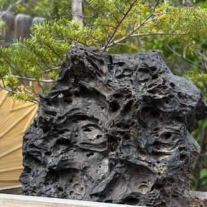 Peut inclure: Une roche sombre et poreuse, à la surface rugueuse et texturée. La roche présente de nombreux trous et crevasses, sur fond de feuillage vert. Il s'agit probablement d'une formation rocheuse naturelle.