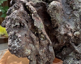 Grande pietra lavica leggera con base (quasi) piatta, licheni e sporgenza per terrario, acquario, bonsai
