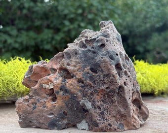 Medium Lava Stone with Desert Patina, Lichen and Flat Base for Terrarium, Aquarium, Bonsai, Suiseki