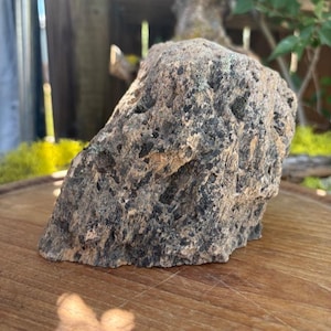 Pumice Stone with Flat Base, Lichen and Moss for Terrarium, Aquarium