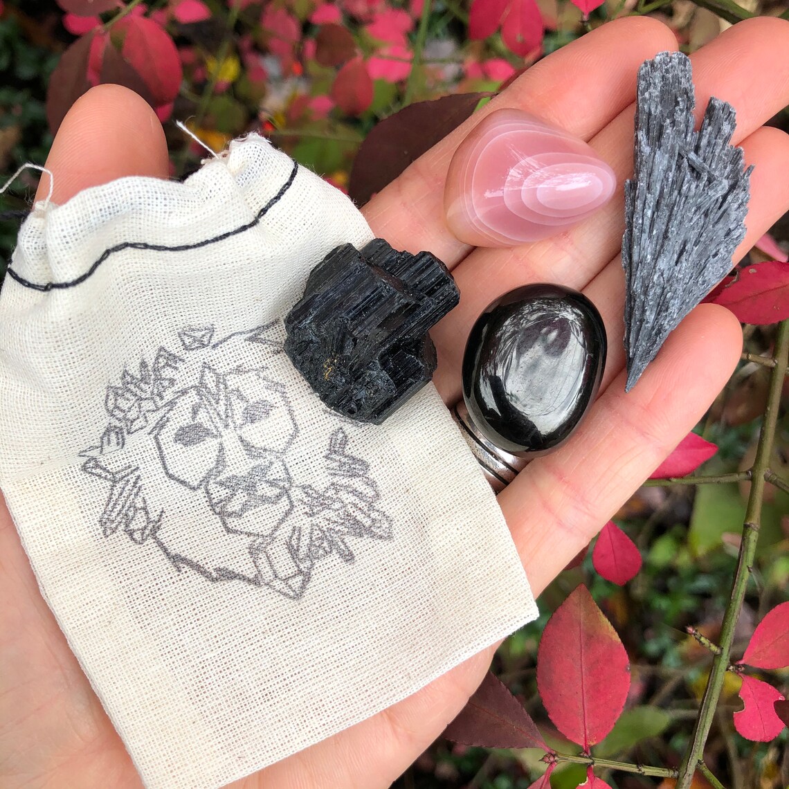 ORIGINAL Crystal Lion Vehicle/car Protection Gift Set // Jet Etsy