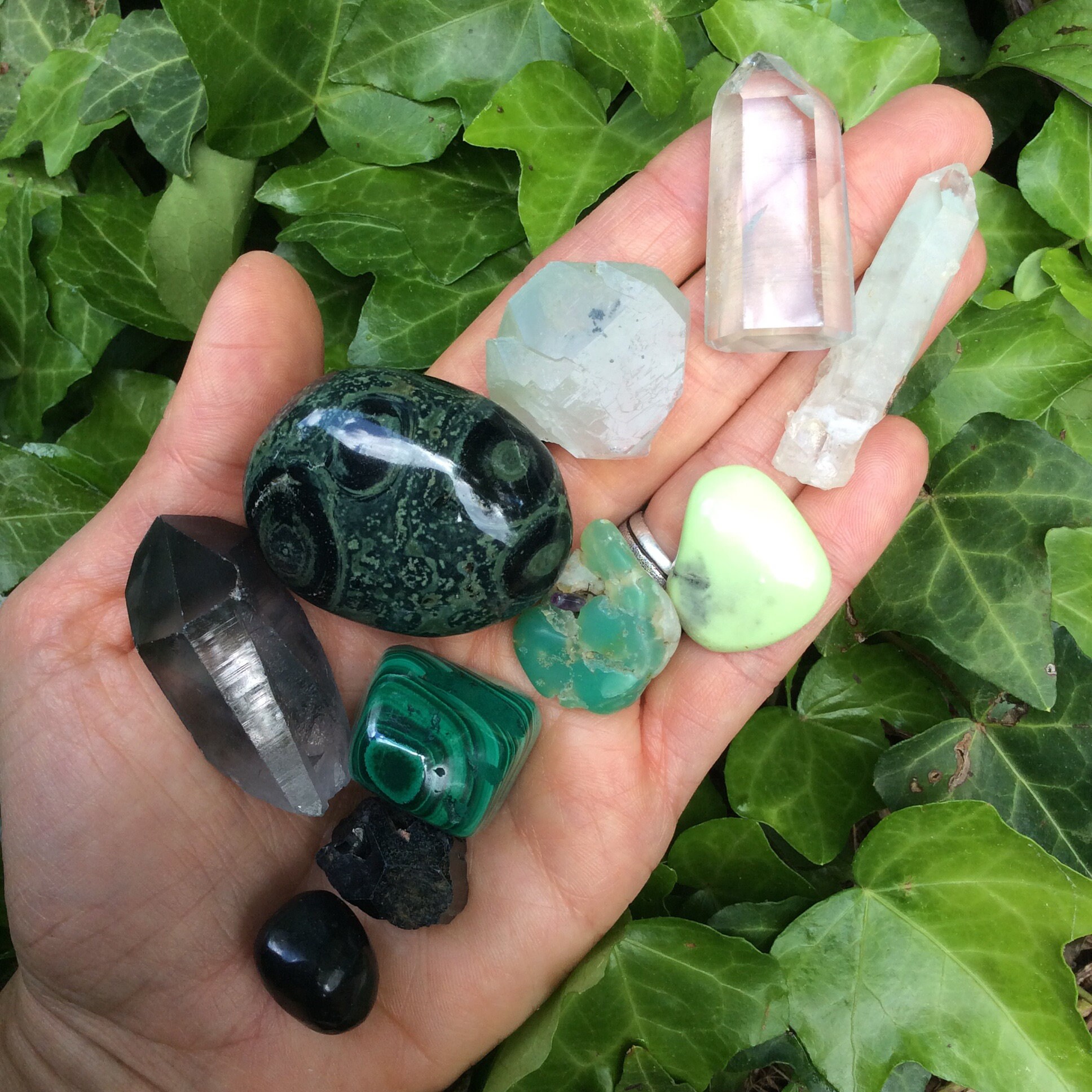 NEW Crystal Lion GAIA Collection // Cleanse Ground // Black Etsy