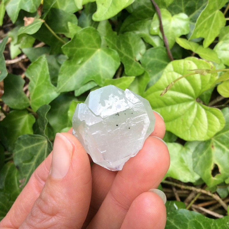 NEW Crystal Lion GAIA Collection // Cleanse Ground // Black Etsy