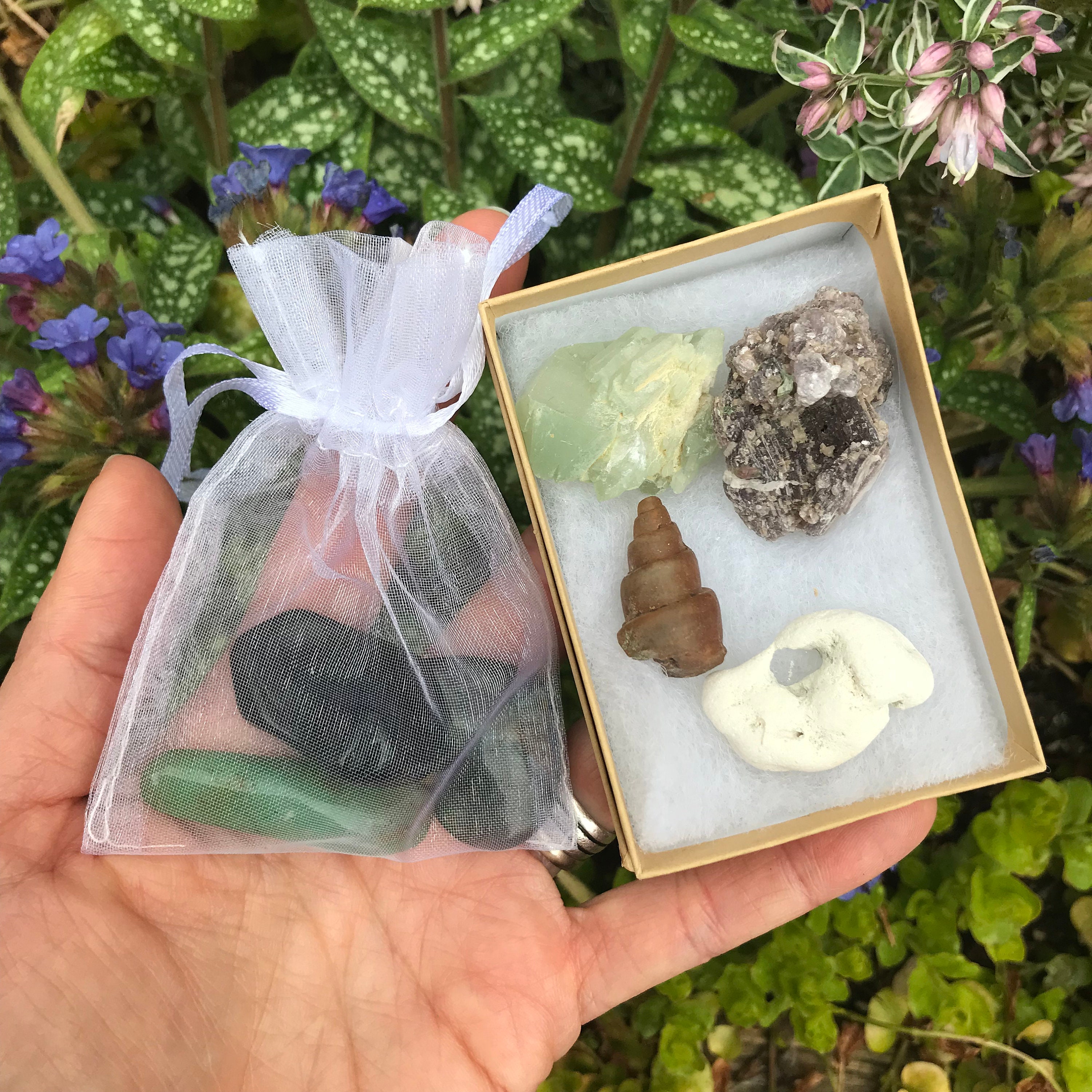 Crystal Lion ORIGINAL Intuitive Heart Stone Gift Set / Etsy