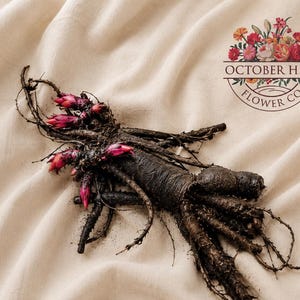 May include: A dark brown, textured plant root system with several small, vibrant magenta buds attached to the stems. The root structure is complex and organic, featuring thin, spindly tendrils. The logo for October Hill Flower Co. is visible.