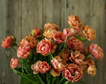 Pedido anticipado (Envío otoño 2026) - Paquete de 10 imágenes de cobre