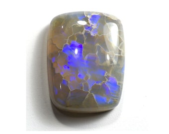 Large Australian Opal with Unique Blue Fire - 13.20 Carats - 21 x 16 x 6 mm