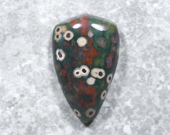 Orbicular Bloodstone Cabochon — Green Red White Yellow  Stone (38 x 23 x 8 mm)